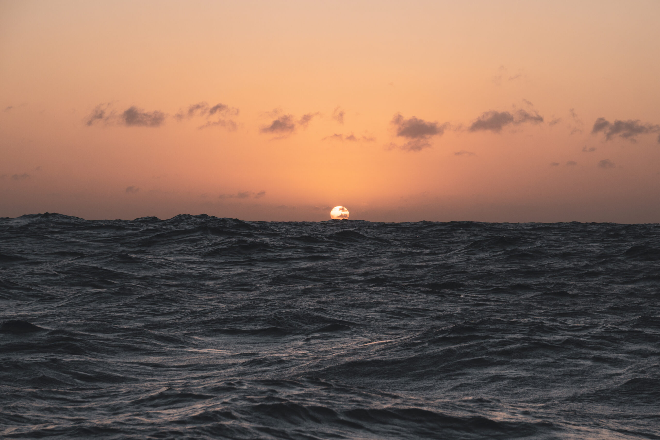 Somewhere (Pacific ocean) - 05719